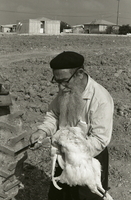 הרב פרג׳אללה (פרגאלה) גויטע