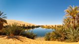 Umm al-Ma Lake - Desert Oasis, Sahara, Libya