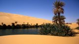 Oasis in Libyan desert